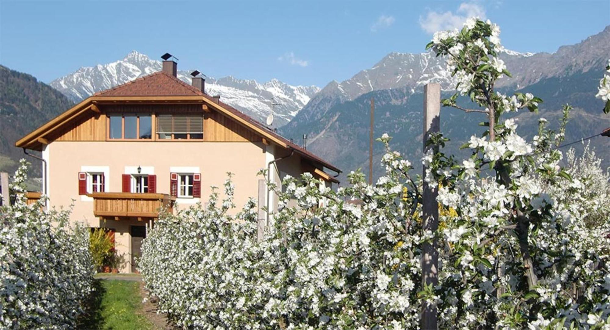 Stoeckerhof Herz